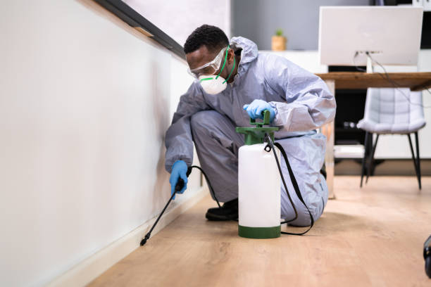 Real Estate Pest Inspections in Geneva, WA